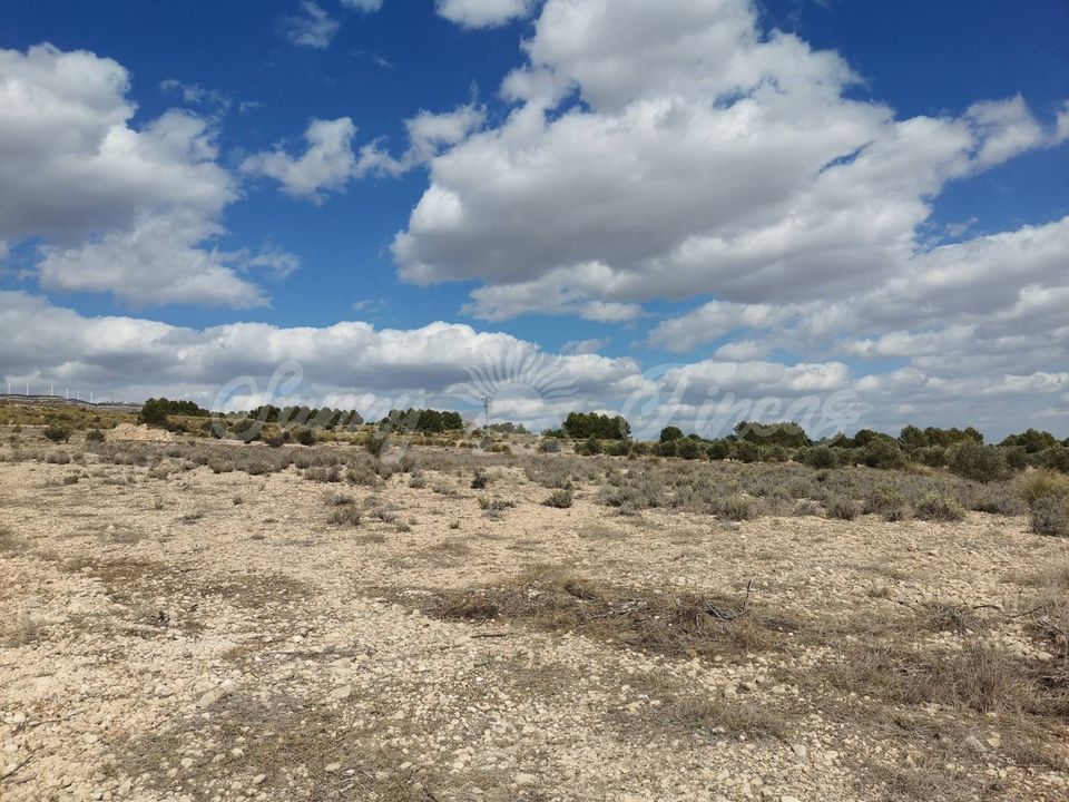 Helårsgrund i Caudete, Albacete - foto 3